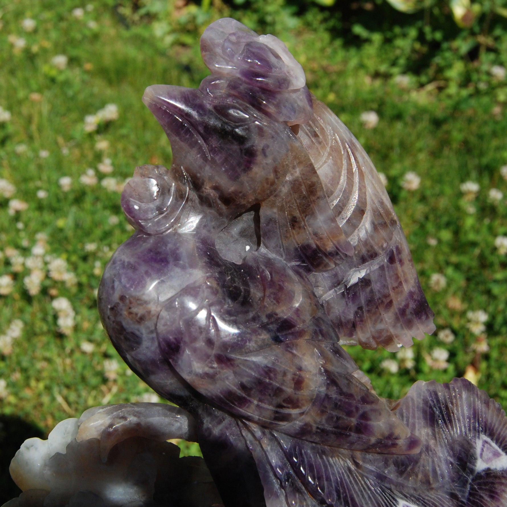 XL Chevron Amethyst Crystal Phoenix Carving - 7.5in 2.7lb Stone of Spiritual Protection & Intuition
