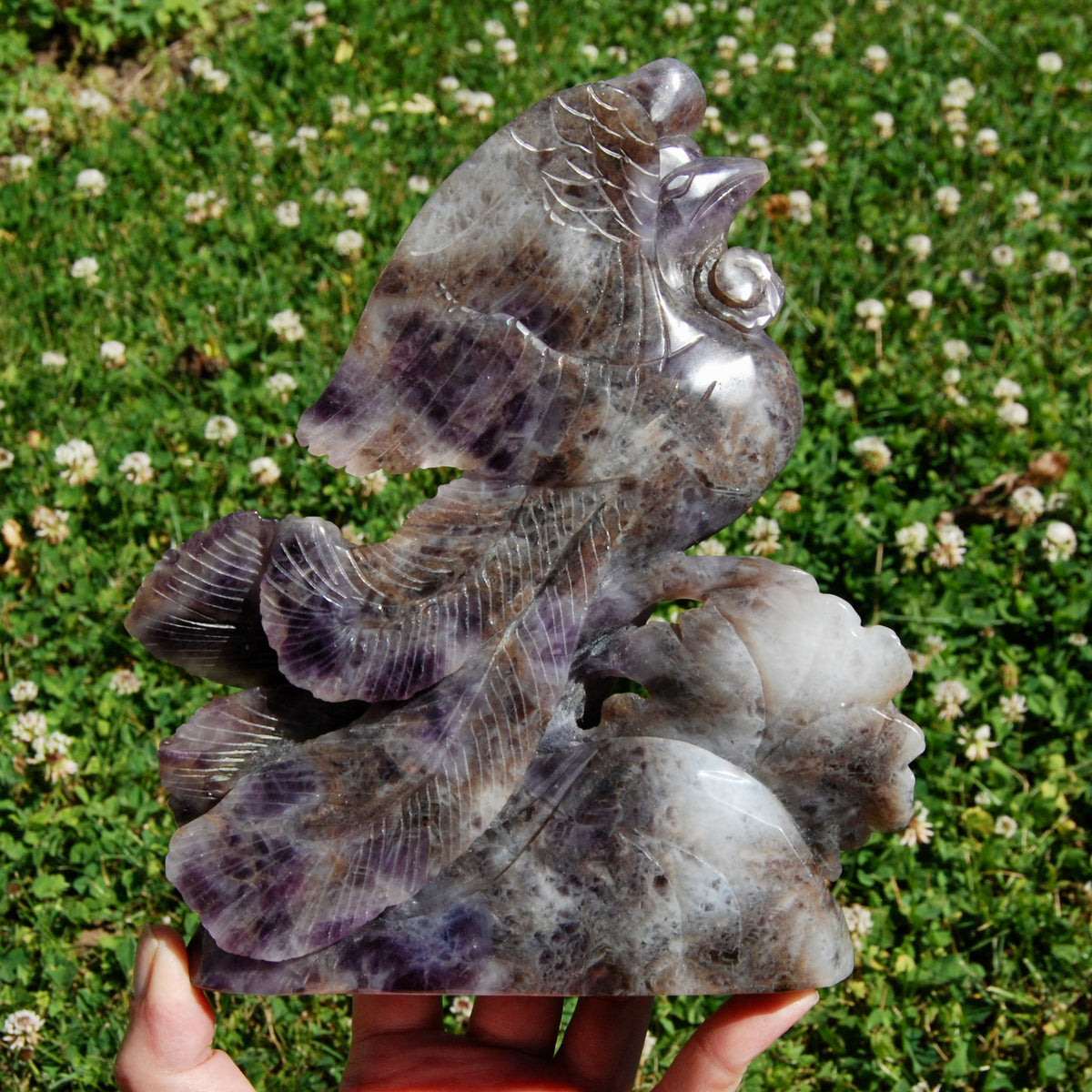 XL Chevron Amethyst Crystal Phoenix Carving - 7.5in 2.7lb Stone of Spiritual Protection & Intuition