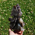 XL Chevron Amethyst Crystal Phoenix Carving - 7.5in 2.7lb Stone of Spiritual Protection & Intuition
