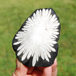Chrysanthemum Stone Crystal Freeform Tower | Harmony & Joy Stone
