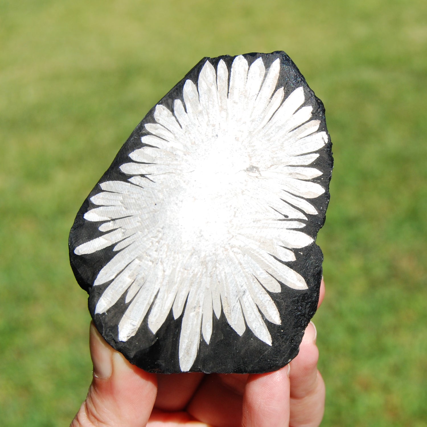 Chrysanthemum Stone Crystal Freeform Tower | Harmony & Joy Stone