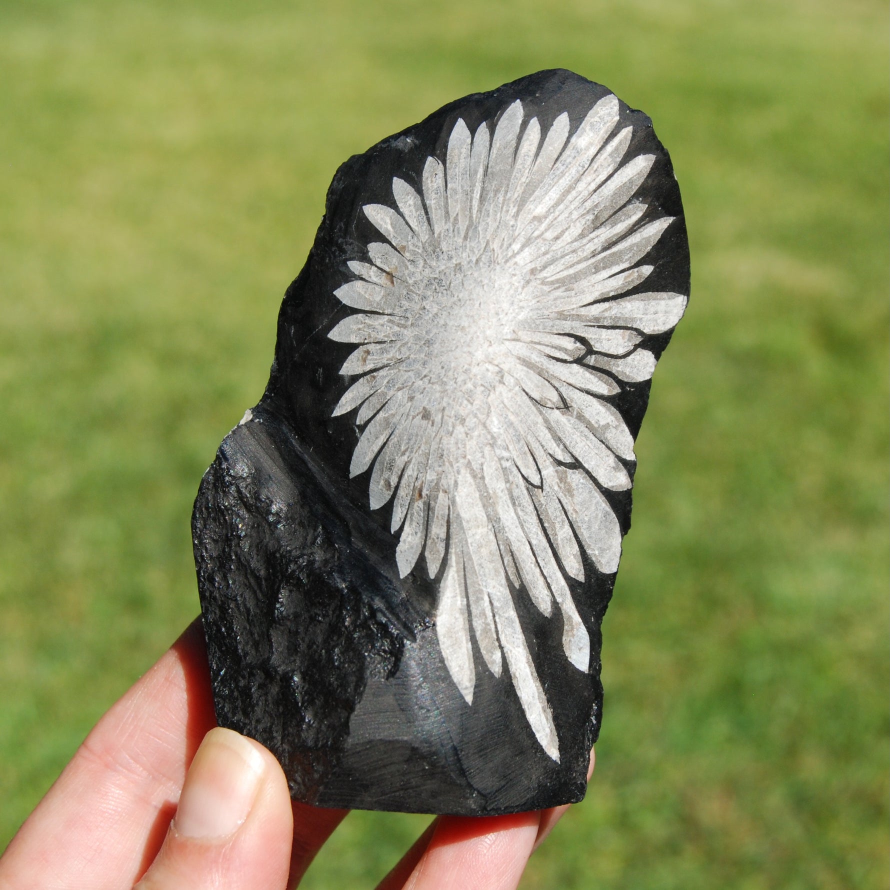 Chrysanthemum Stone Crystal Freeform Tower | Harmony & Joy Stone