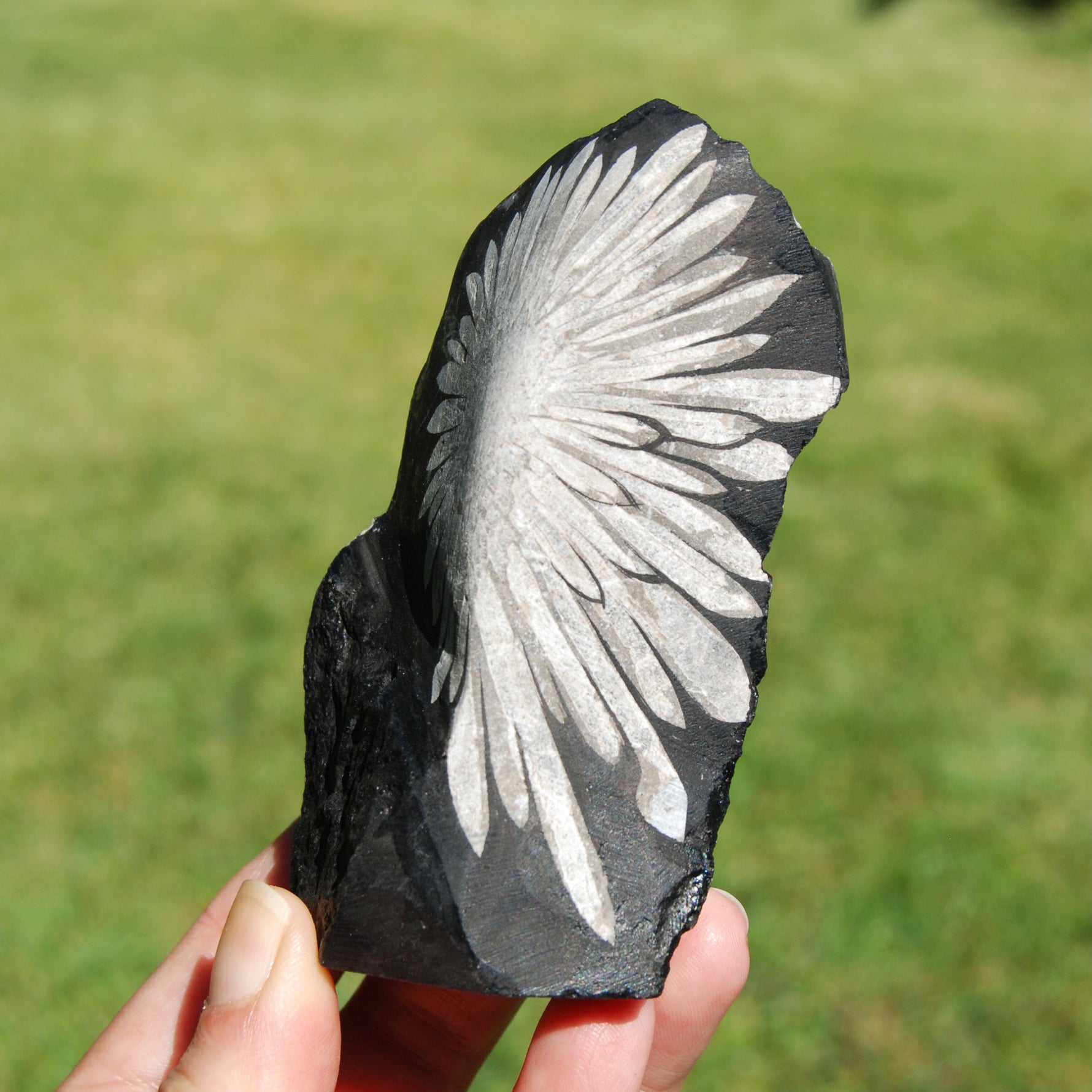 Chrysanthemum Stone Crystal Freeform Tower | Harmony & Joy Stone