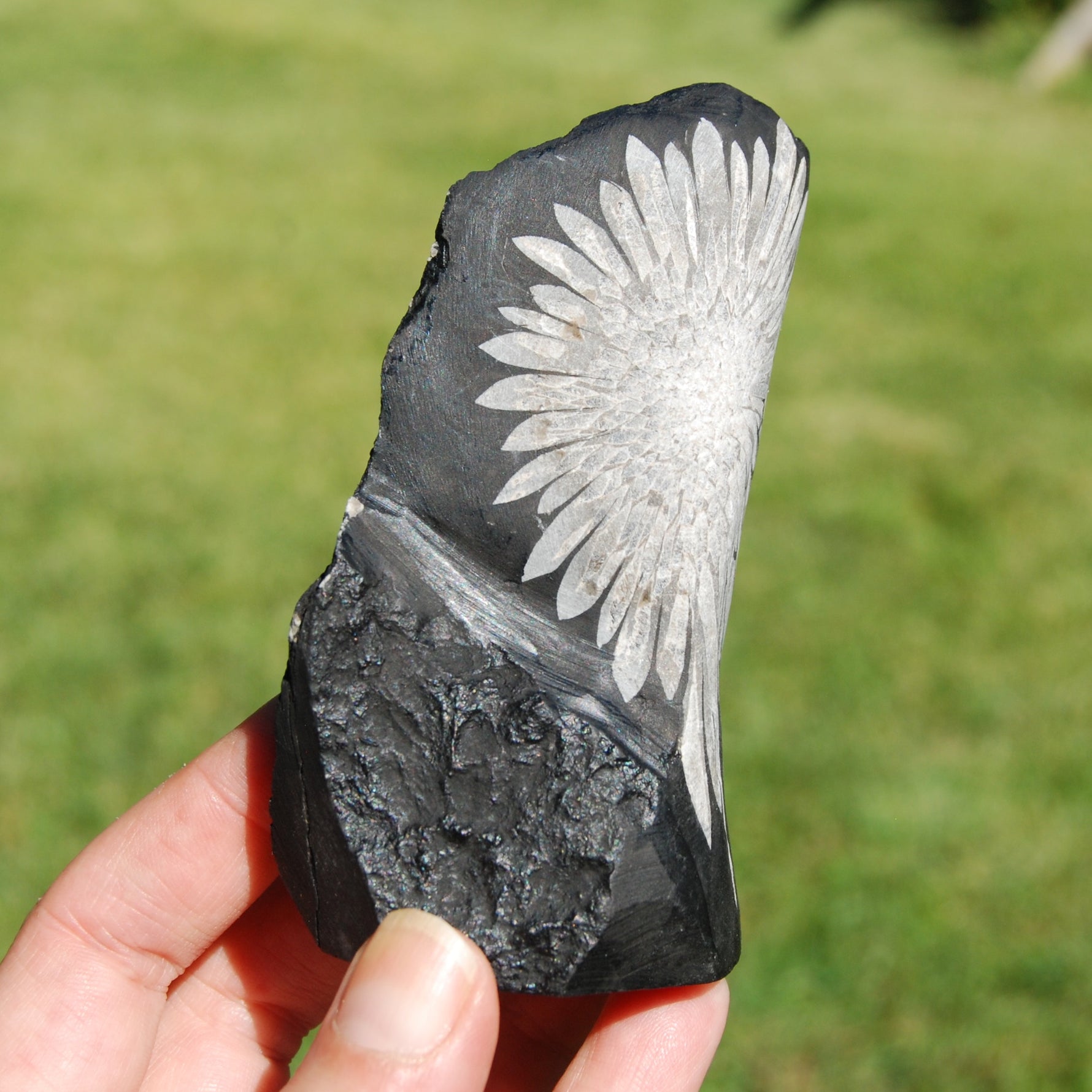 Chrysanthemum Stone Crystal Freeform Tower | Harmony & Joy Stone