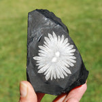 4" Chrysanthemum Stone Crystal Freeform Tower | Harmony & Joy Stone