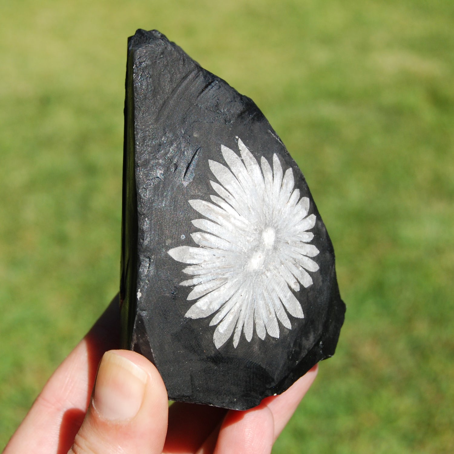 4" Chrysanthemum Stone Crystal Freeform Tower | Harmony & Joy Stone