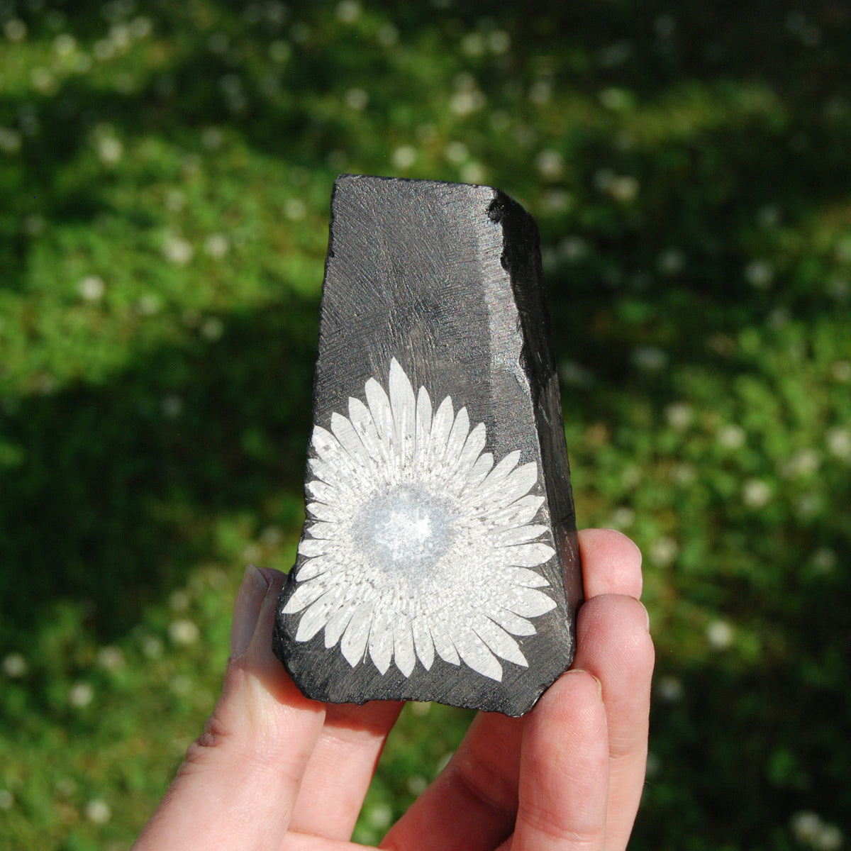 Chrysanthemum Stone Crystal Freeform Tower | Harmony & Joy Stone