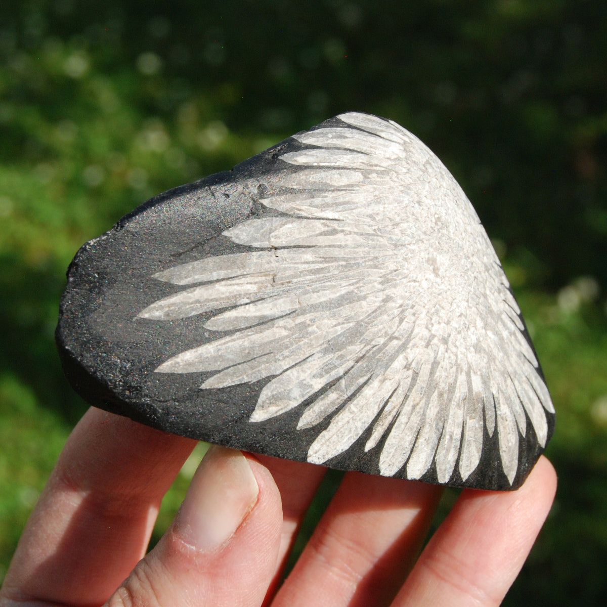 Chrysanthemum Stone Crystal Freeform Tower | Harmony & Joy Stone