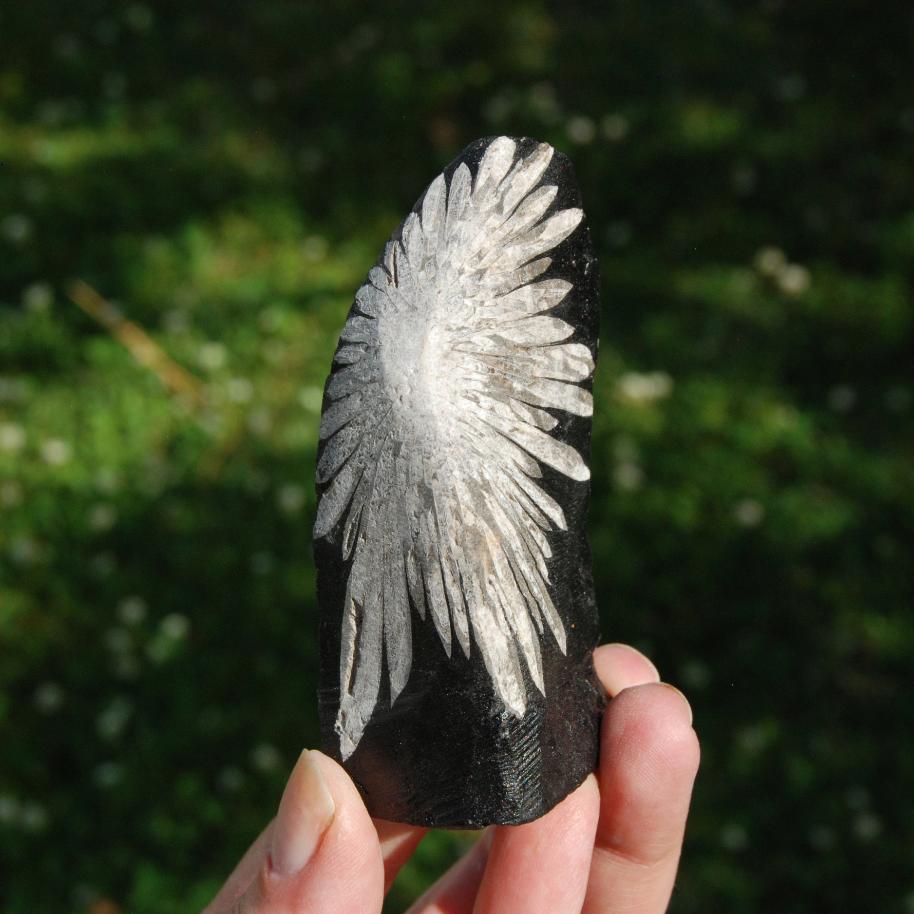 Chrysanthemum Stone Crystal Freeform Tower | Harmony & Joy Stone