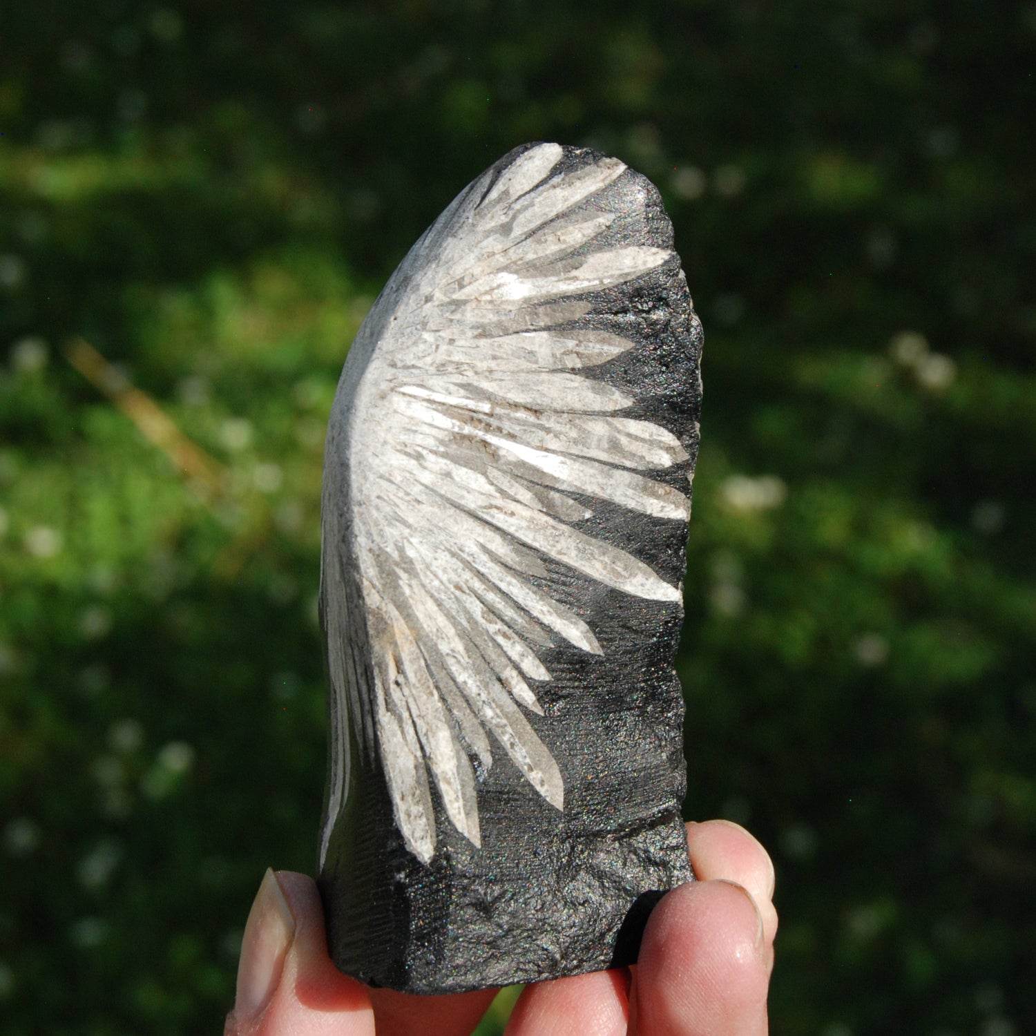 Chrysanthemum Stone Crystal Freeform Tower | Harmony & Joy Stone