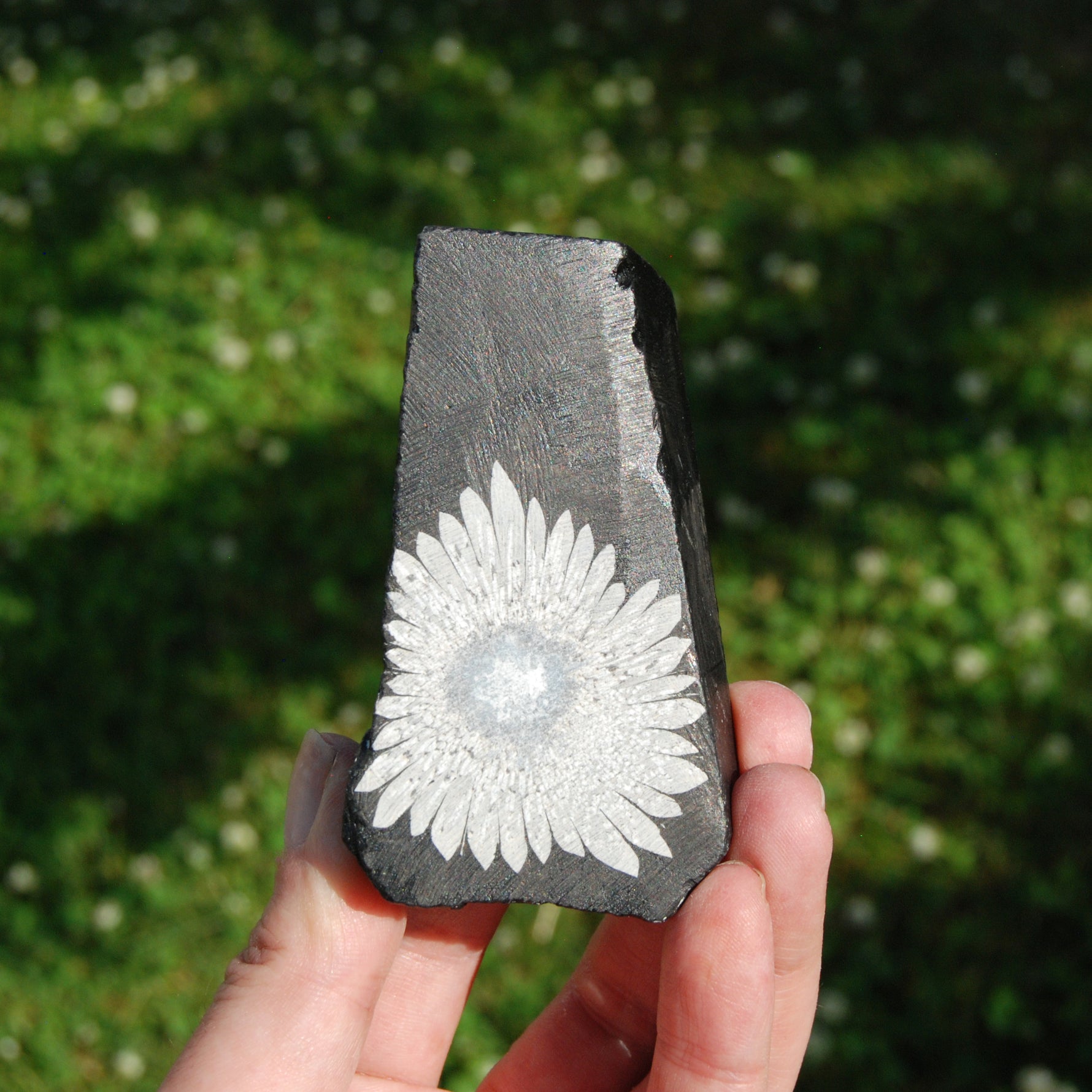 Chrysanthemum Stone Crystal Freeform Tower | Harmony & Joy Stone