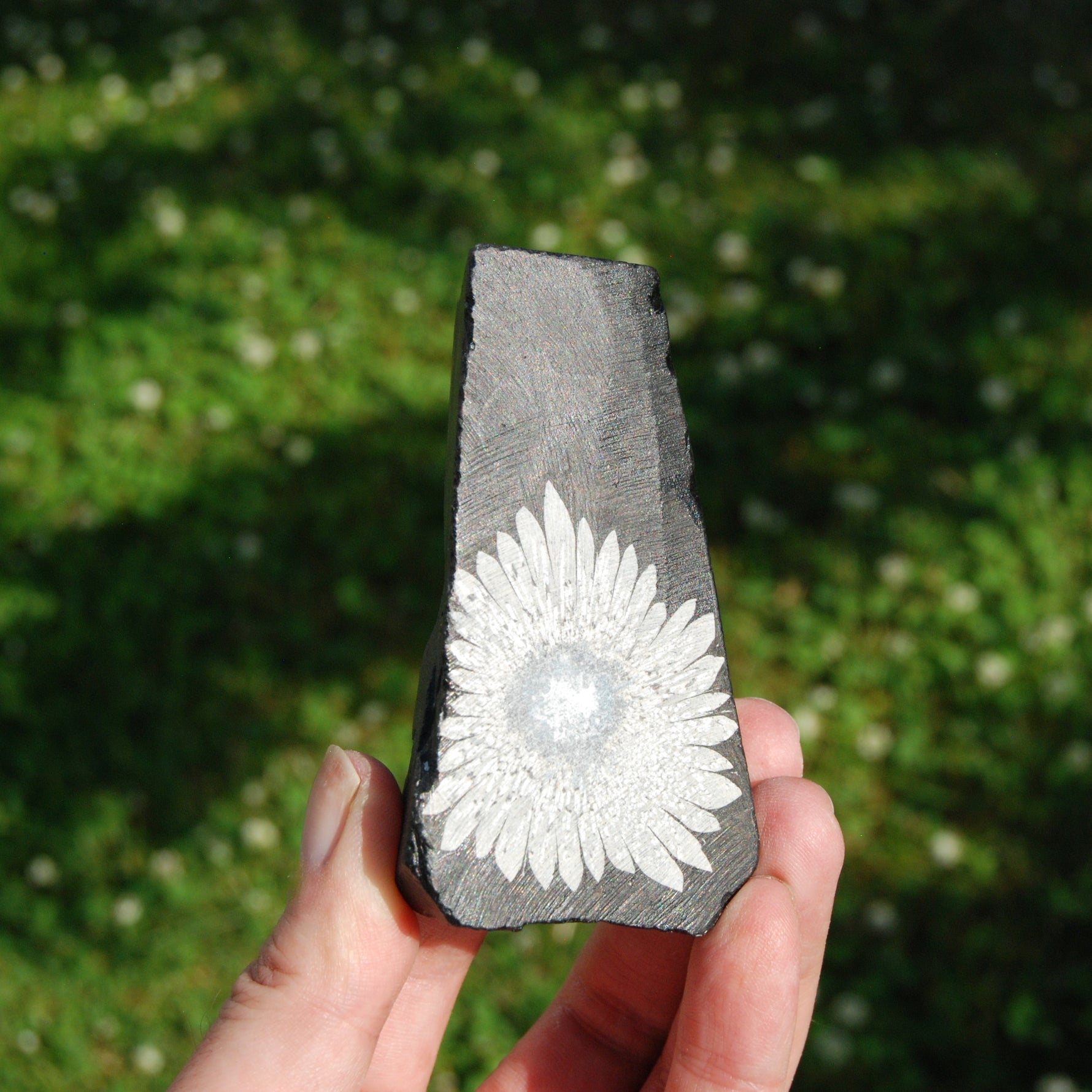 Chrysanthemum Stone Crystal Freeform Tower | Harmony & Joy Stone
