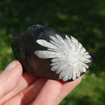 Chrysanthemum Stone Crystal Freeform Tower, Harmony & Joy Stone
