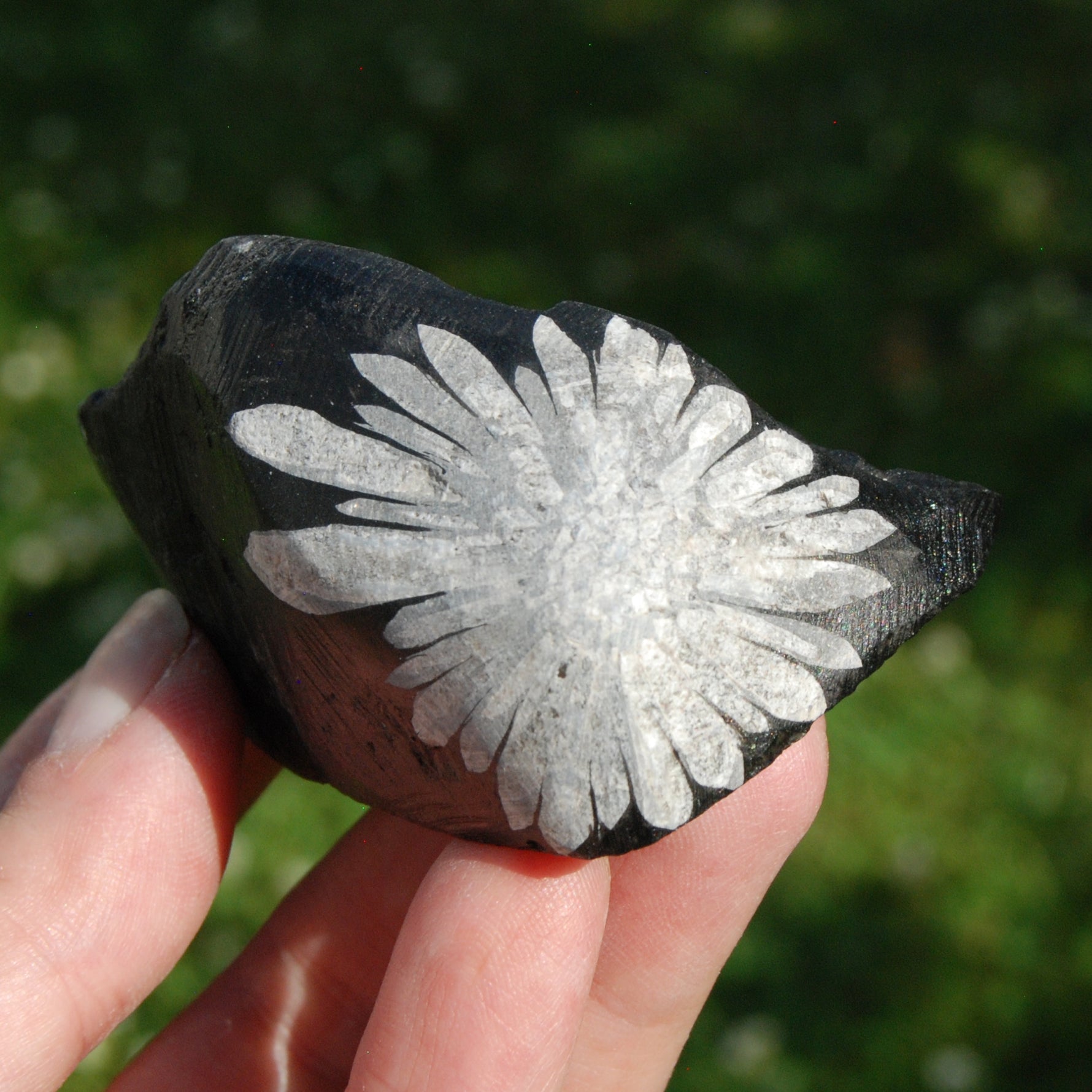 Chrysanthemum Stone Crystal Freeform Tower, Harmony & Joy Stone