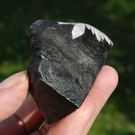 Chrysanthemum Stone Crystal Freeform Tower, Harmony & Joy Stone