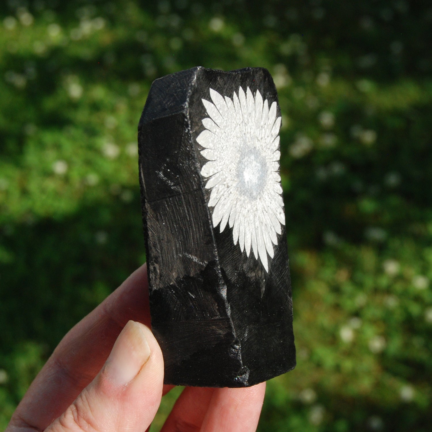 Chrysanthemum Stone Crystal Freeform Tower | Harmony & Joy Stone