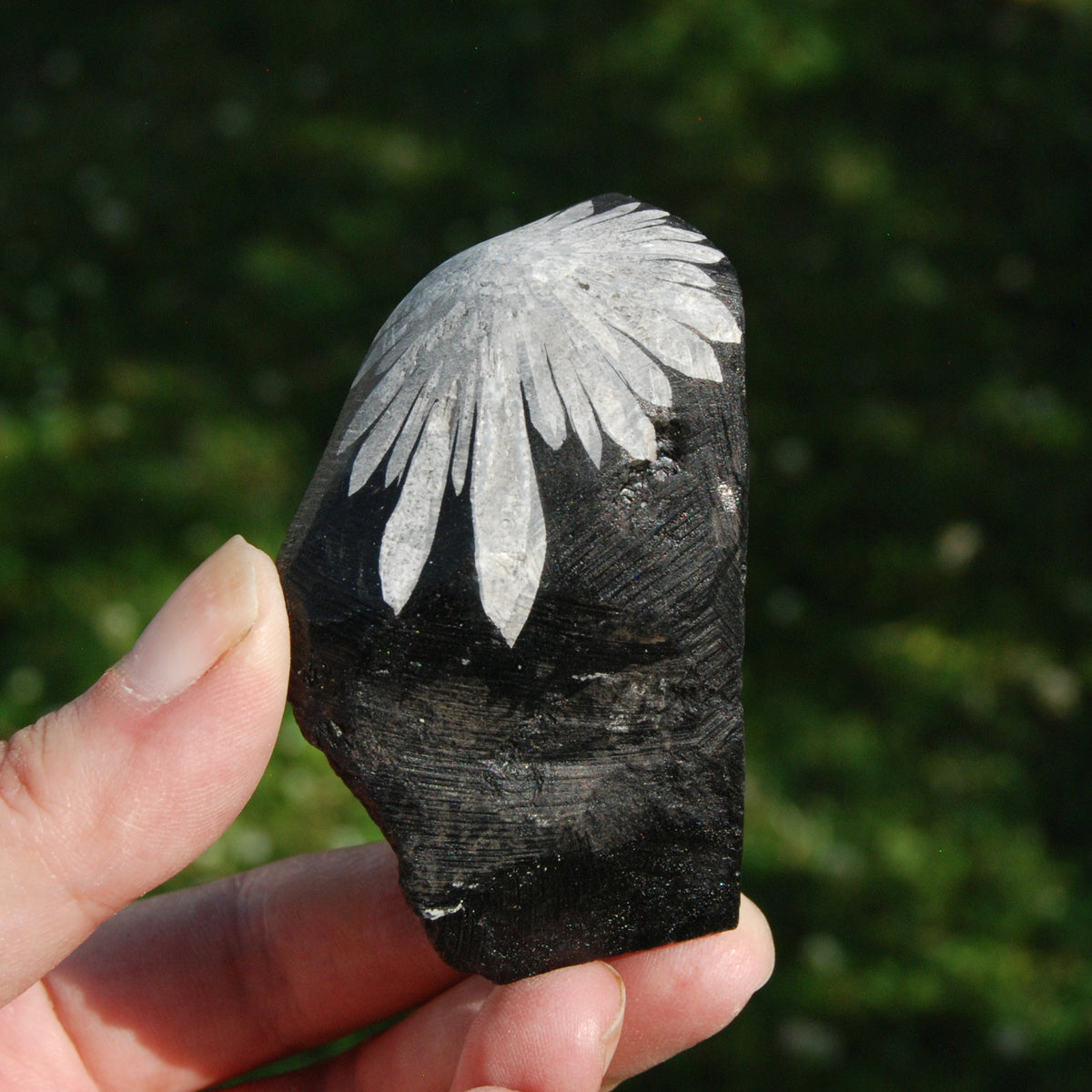 Chrysanthemum Stone Crystal Freeform Tower