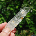 Colombian Lemurian Seed Quartz Crystal