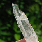 Colombian Lemurian Seed Quartz Crystal