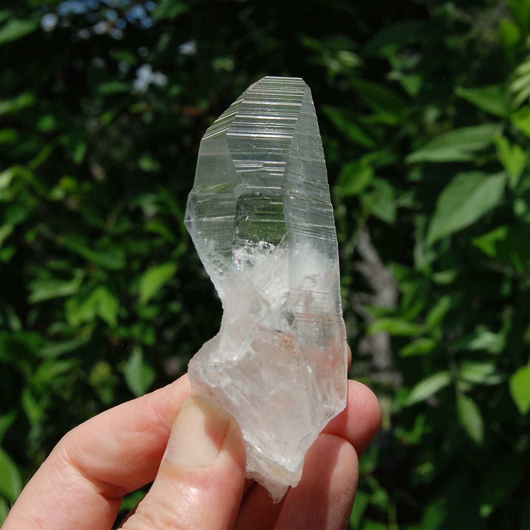 Yin Yang Lemurian Seed Quartz Crystal Devic Temple, High Vibration Optical Quartz, Peñas Blancas, Colombia
