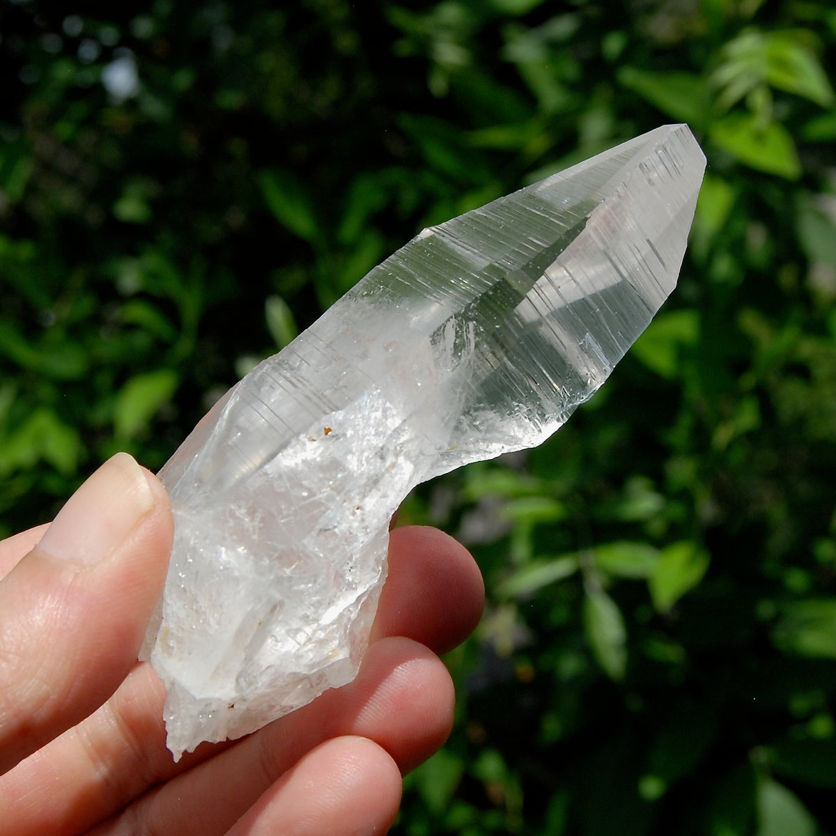 Yin Yang Lemurian Seed Quartz Crystal Devic Temple, High Vibration Optical Quartz, Peñas Blancas, Colombia