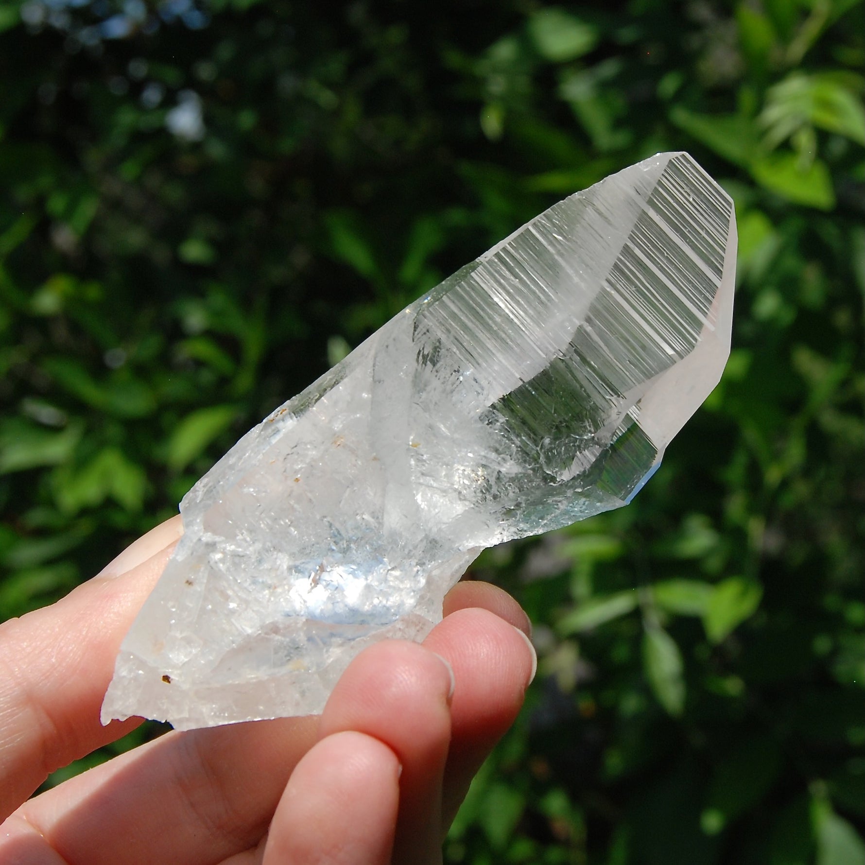 Yin Yang Lemurian Seed Quartz Crystal Devic Temple, High Vibration Optical Quartz, Peñas Blancas, Colombia