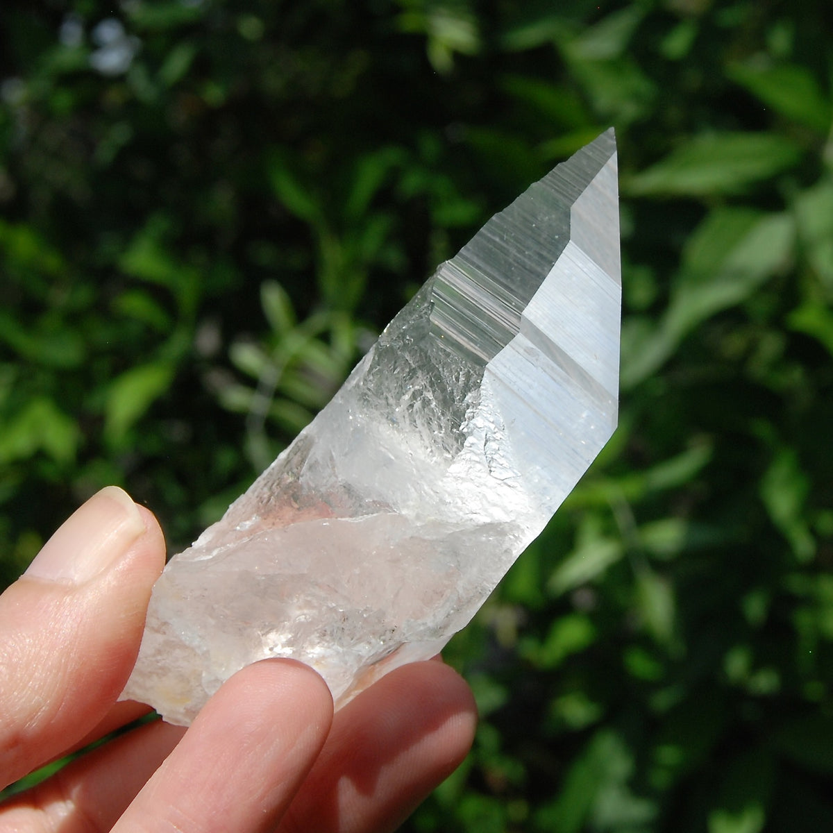 Yin Yang Lemurian Seed Quartz Crystal Devic Temple, High Vibration Optical Quartz, Peñas Blancas, Colombia