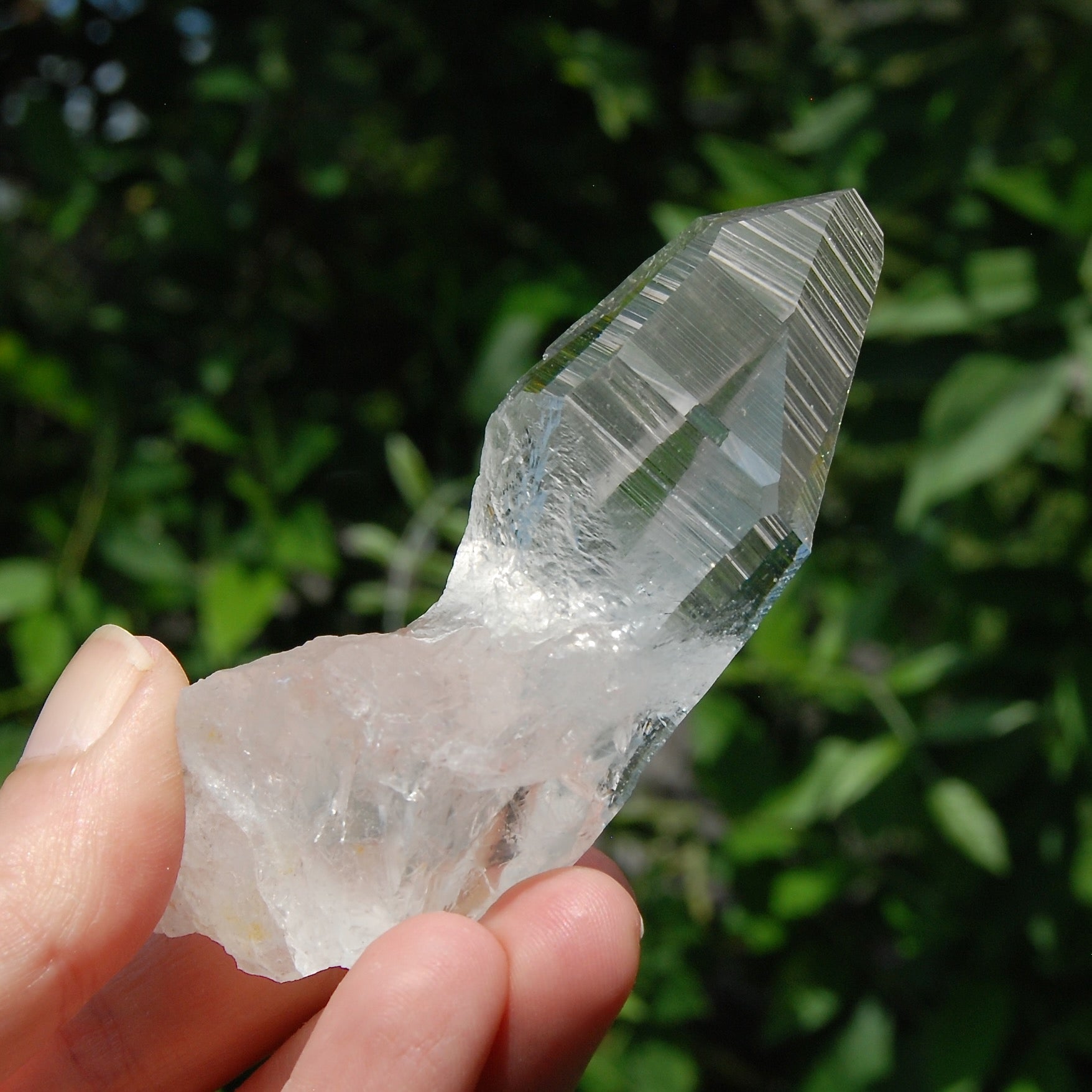 Yin Yang Lemurian Seed Quartz Crystal Devic Temple, High Vibration Optical Quartz, Peñas Blancas, Colombia