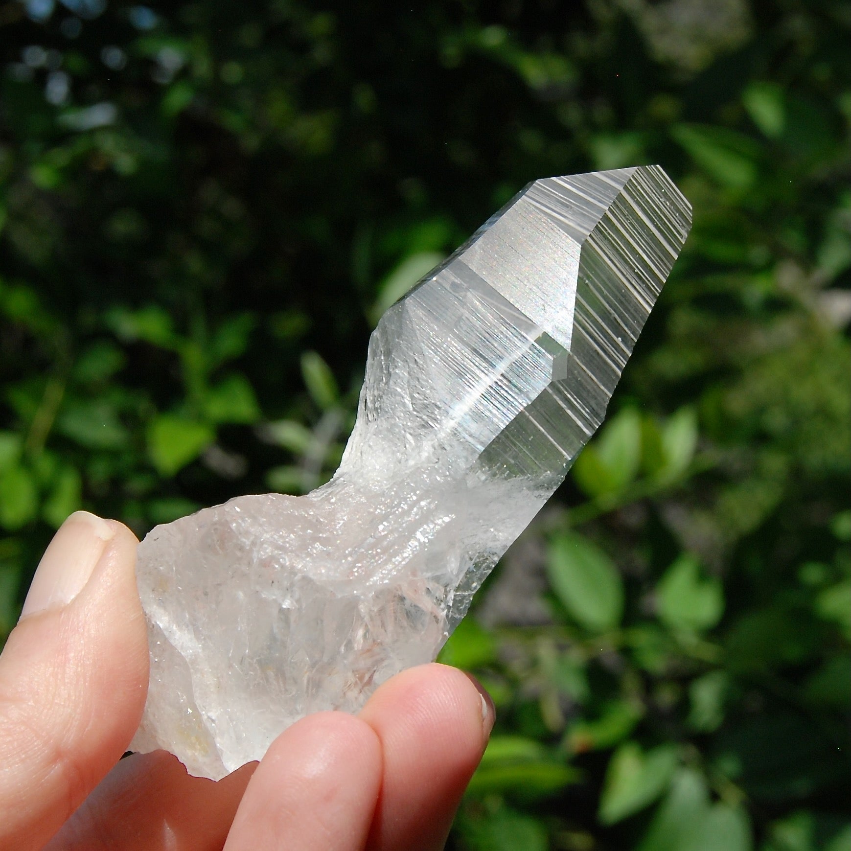 Yin Yang Lemurian Seed Quartz Crystal Devic Temple, High Vibration Optical Quartz, Peñas Blancas, Colombia