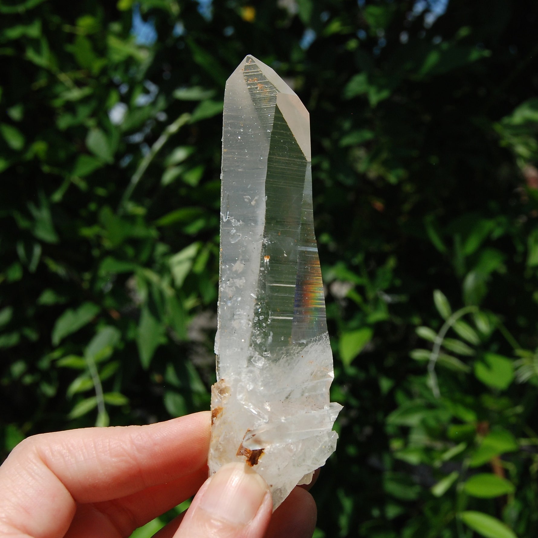 Golden Healer Lemurian Seed Quartz Crystal Cross, High Vibration Optical Quartz, Peñas Blancas, Colombia