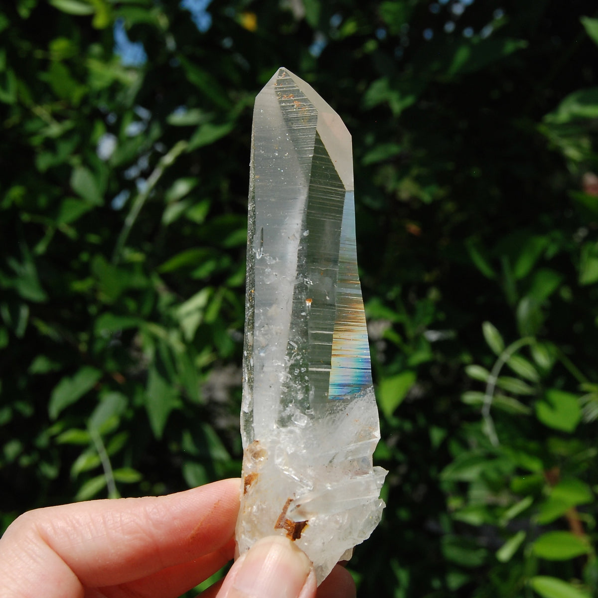 Golden Healer Lemurian Seed Quartz Crystal Cross, High Vibration Optical Quartz, Peñas Blancas, Colombia