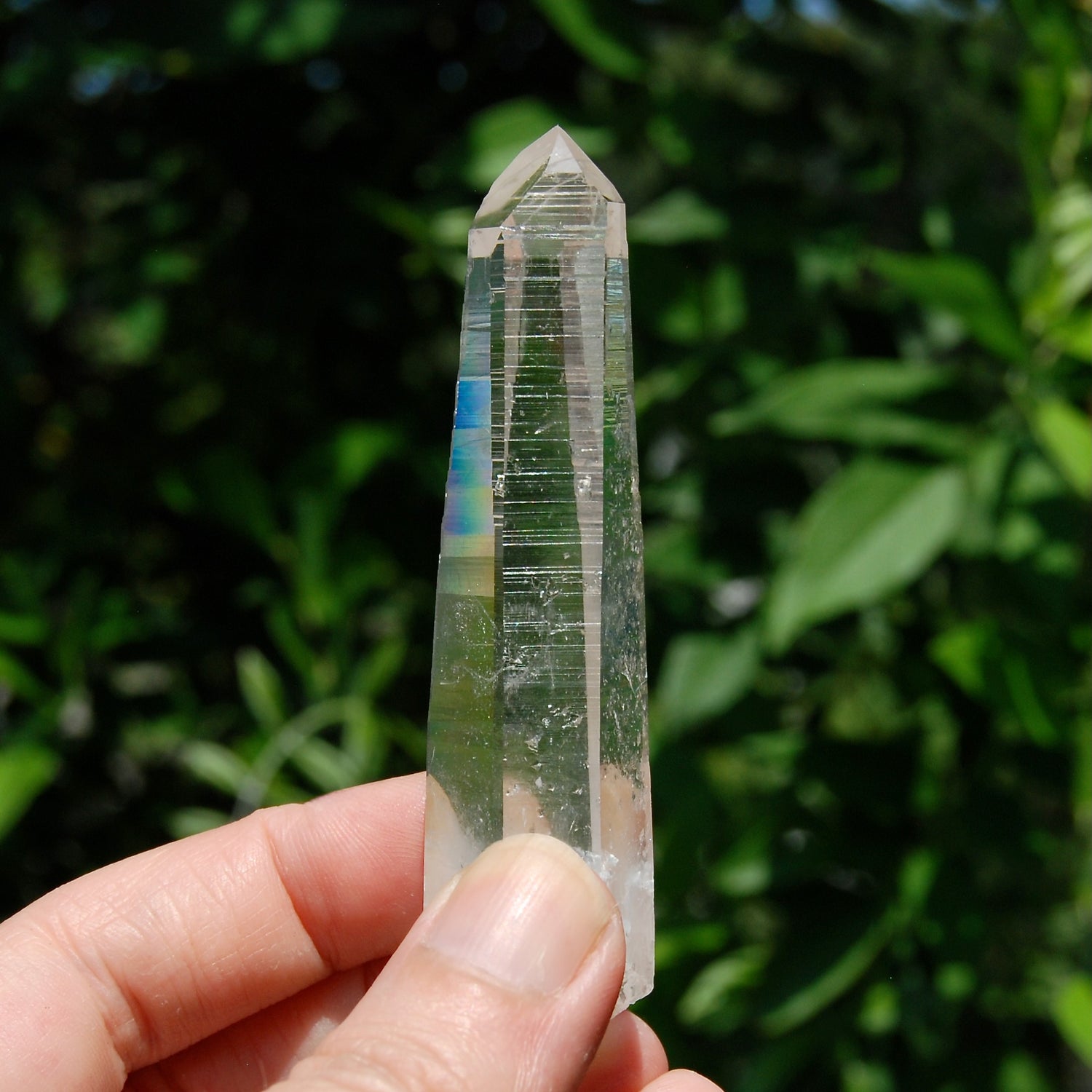 Colombian Lemurian Seed Quartz Crystal Dow Channeler