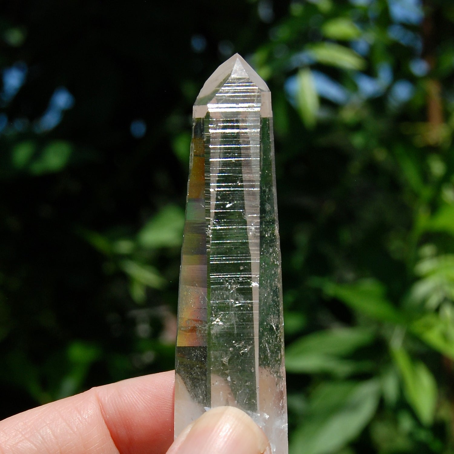 Colombian Lemurian Seed Quartz Crystal Dow Channeler