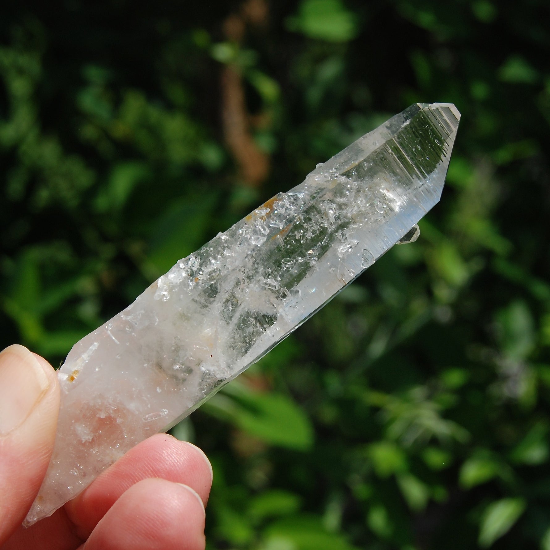 Colombian Lemurian Seed Quartz Crystal