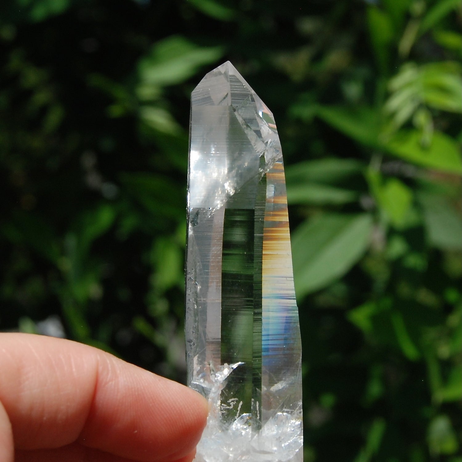 Isis Face Colombian Lemurian Seed Quartz Crystal Dow Channeler