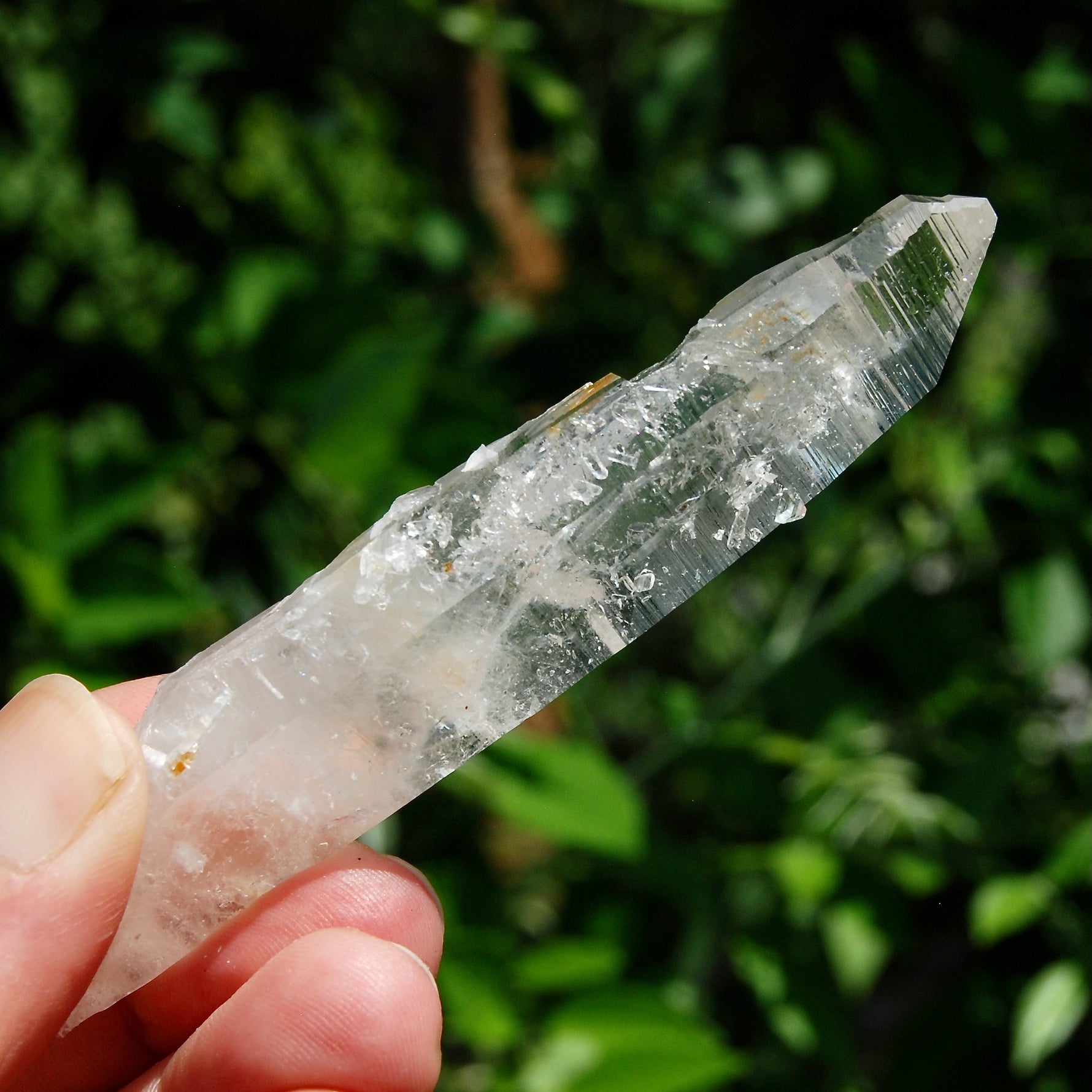 Colombian Lemurian Seed Quartz Crystal