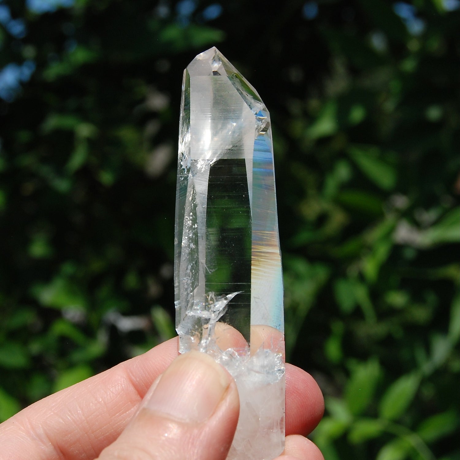 Isis Face Colombian Lemurian Seed Quartz Crystal Dow Channeler