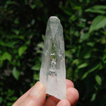 Colombian Lemurian Seed Quartz Crystal Laser
