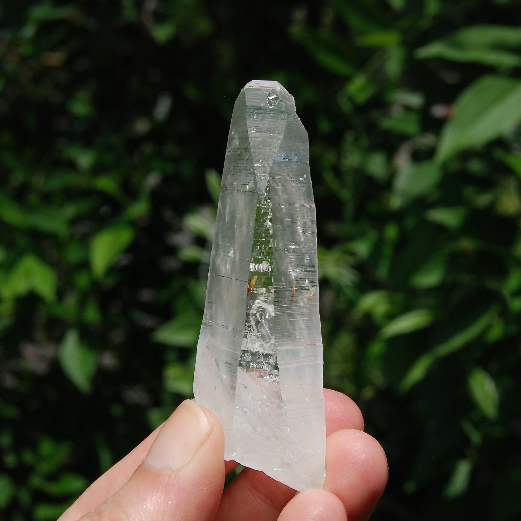 Colombian Lemurian Seed Quartz Crystal Laser