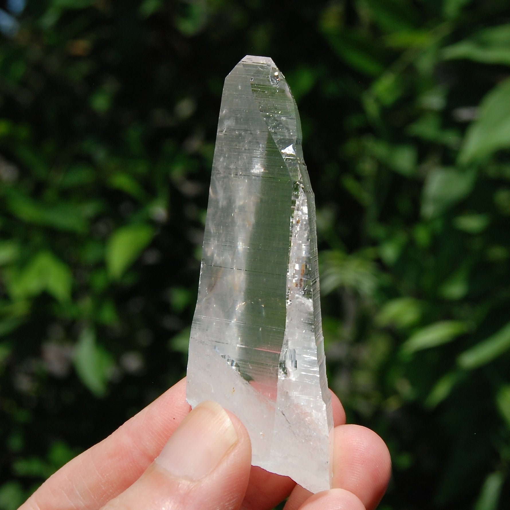 Colombian Lemurian Seed Quartz Crystal Laser