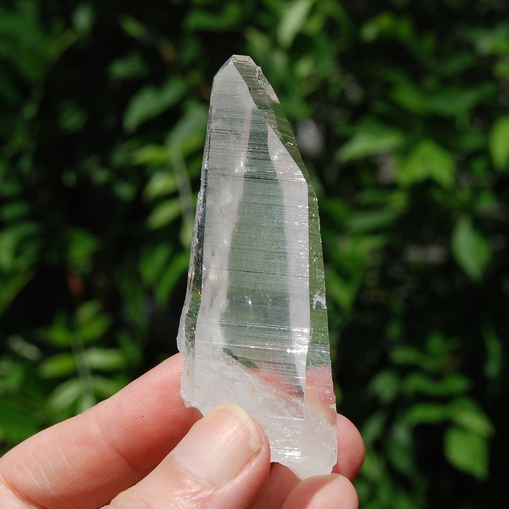 Colombian Lemurian Seed Quartz Crystal Laser