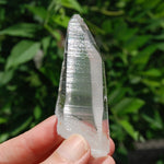 Colombian Lemurian Seed Quartz Crystal Laser