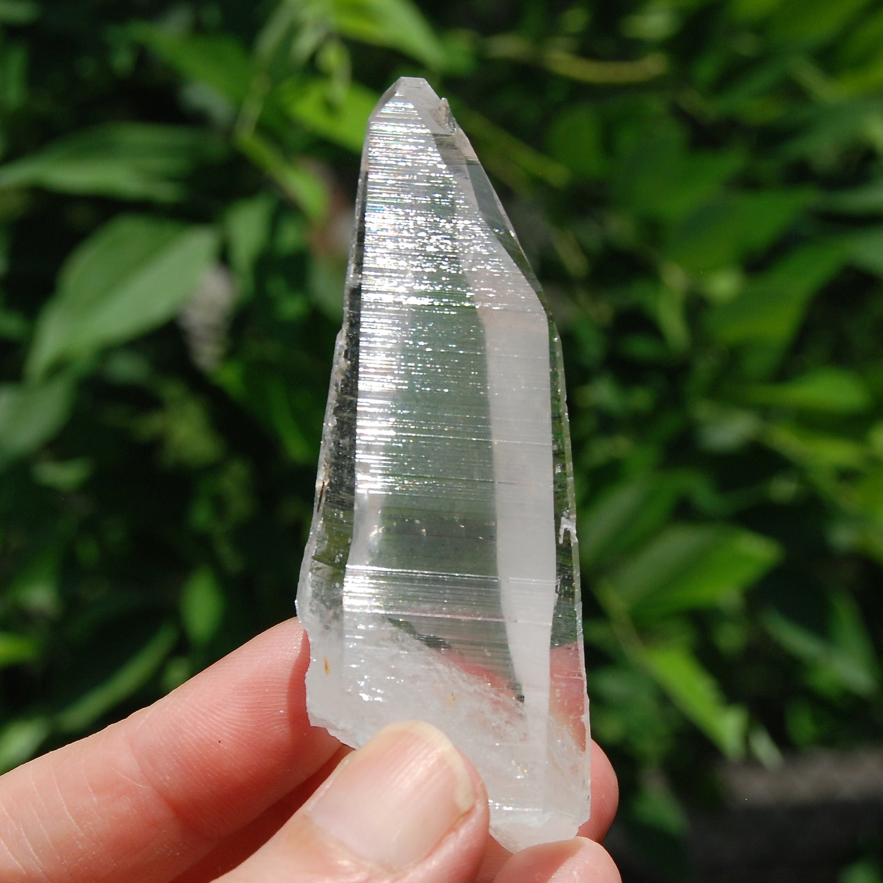 Colombian Lemurian Seed Quartz Crystal Laser
