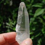 Colombian Lemurian Seed Quartz Crystal Laser