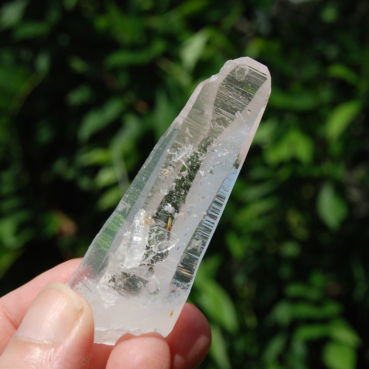 Colombian Lemurian Seed Quartz Crystal Laser