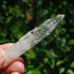Colombian Lemurian Seed Quartz Crystal