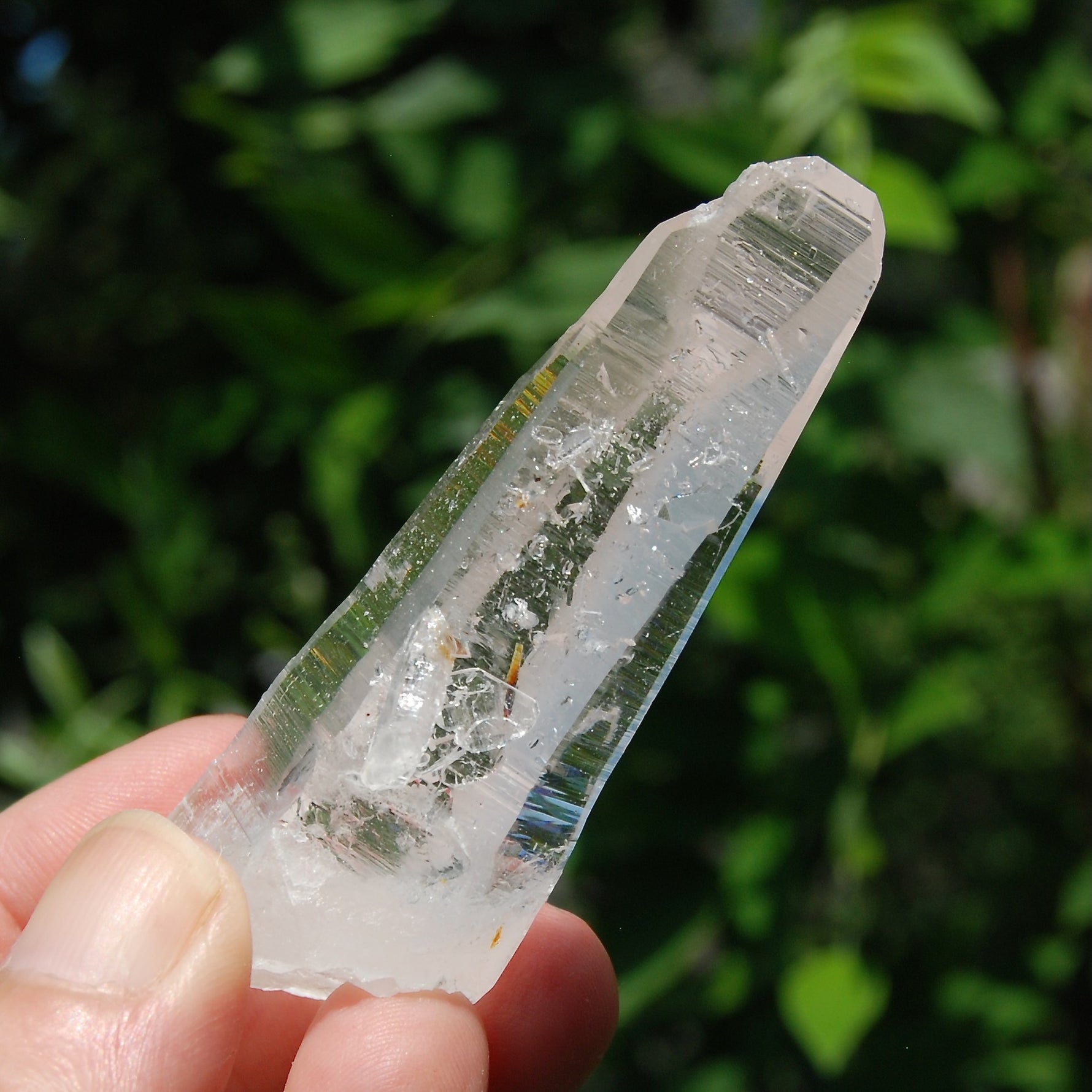 Colombian Lemurian Seed Quartz Crystal Laser