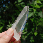 Colombian Lemurian Seed Quartz Crystal Laser