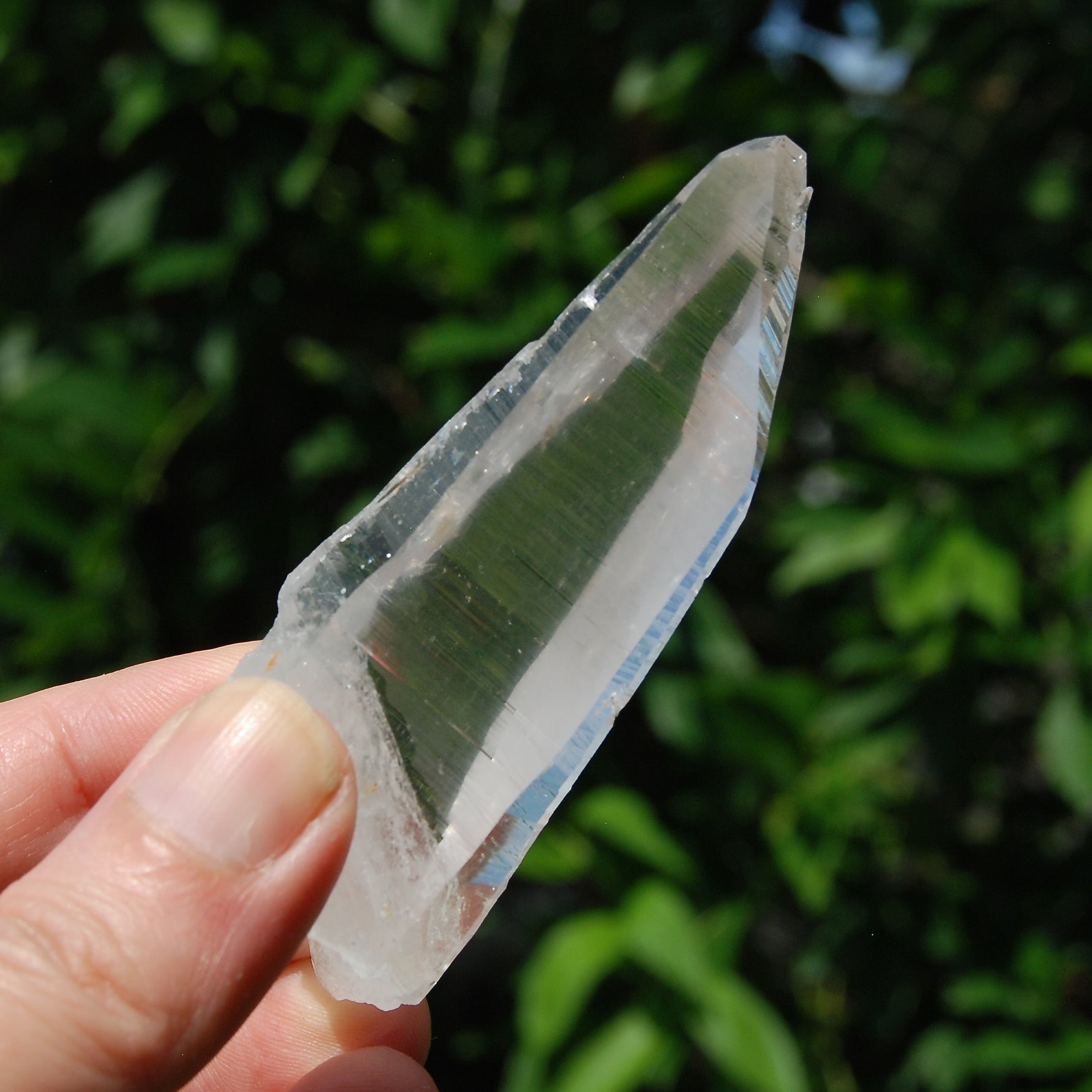 Colombian Lemurian Seed Quartz Crystal Laser