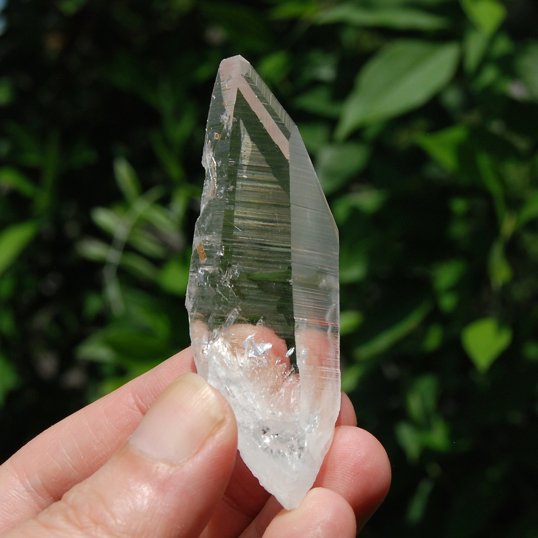 Colombian Lemurian Crystal for Sale 